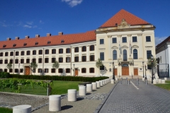 1_dz8019
