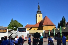 dz8021