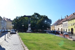 dz8029