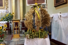 image007