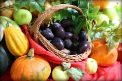 069B9000_resize