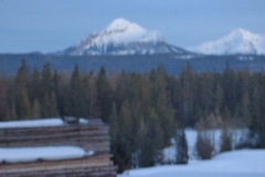 KULIG001
