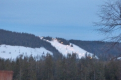 KULIG003