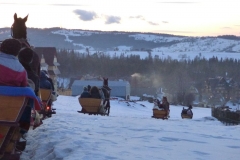 KULIG004