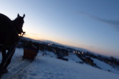 KULIG006