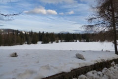 KULIG031