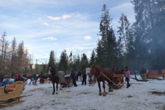 KULIG035