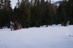 kulig20i058