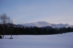 kulig20i060