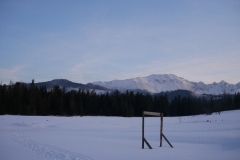 kulig20i061