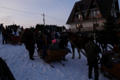 kulig20i063