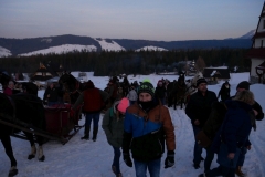 kulig20i065