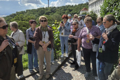 50154