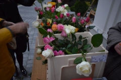 image045
